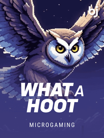What A Hoot screenshot